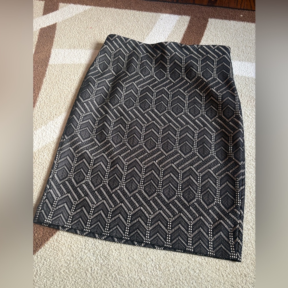 Ann Taylor Skirt size 10